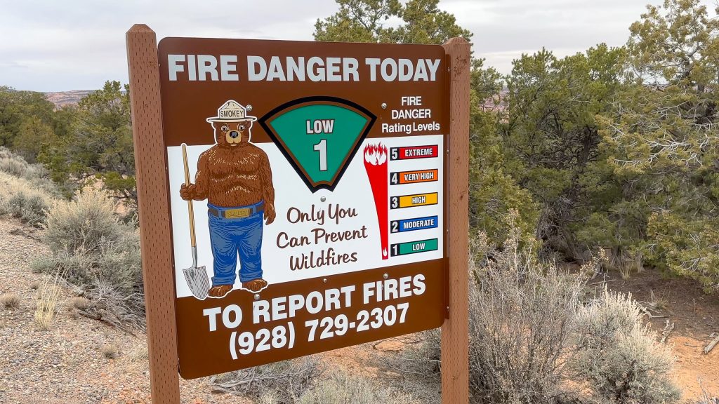 Forest fire public service announcement Smokey the bear on a bulletin board 